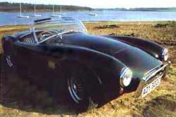 hawk289.jpg - 12008 Bytes